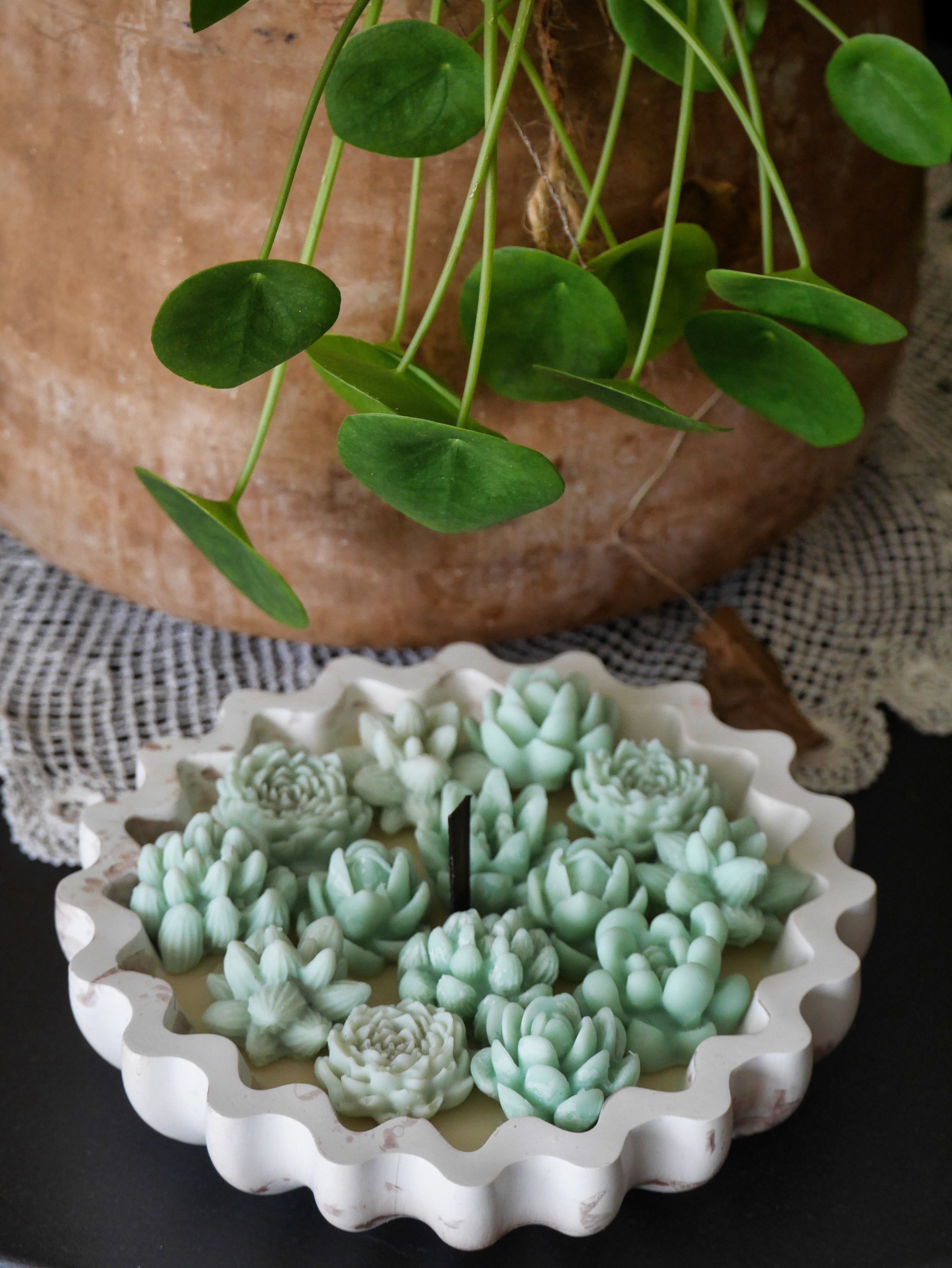 Crassula Candela – Bougie artisanale Ubi Bene Atelier × O Mà